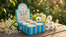 Load image into Gallery viewer, Kalastyle Soap Co. - Skandi Blooms Daisy Botanical Lip Balm