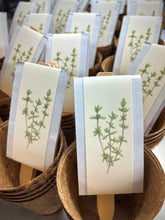 Load image into Gallery viewer, Culinary Herb Garden Box