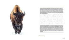 Load image into Gallery viewer, Parklands: America’s National Parks and Public Lands