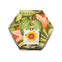 Load image into Gallery viewer, Baudelaire Soaps - Calendula Honey Soap Hex Gift Box