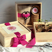 Load image into Gallery viewer, Flower Cutting Garden Box | Mixed Zinnia