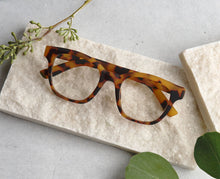 Load image into Gallery viewer, Peepers | Zinnia - Tokyo Tortoise