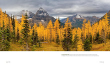 Load image into Gallery viewer, Parklands: America’s National Parks and Public Lands