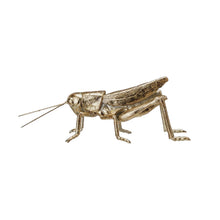 Load image into Gallery viewer, Resin & Metal Grasshopper