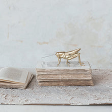 Load image into Gallery viewer, Resin & Metal Grasshopper