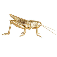 Load image into Gallery viewer, Resin & Metal Grasshopper