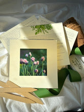 Load image into Gallery viewer, Culinary Herb Garden Box