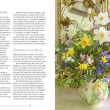 Load image into Gallery viewer, Daffodils: Beautiful Varieties for Home and Garden