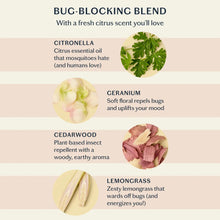 Load image into Gallery viewer, Kate McLeod - The Bug Balm