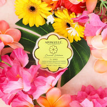 Load image into Gallery viewer, Spongellé Coconut Verbena Daisy Spongette