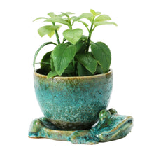Load image into Gallery viewer, Stoneware Planter with Frog Base