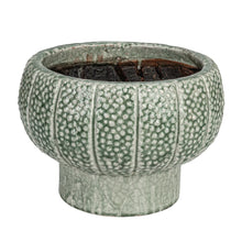 Load image into Gallery viewer, Embossed Terra-cotta Footed Vase/Planter