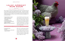 Load image into Gallery viewer, Drinking with Chickens: Free-Range Cocktails for the Happiest Hour
