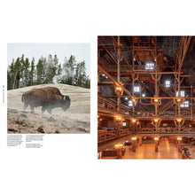 Load image into Gallery viewer, Lodge: An Indoorsy Tour of America's National Parks