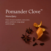 Load image into Gallery viewer, Thymes Pomander Clove Poured Candle