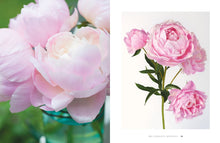 Load image into Gallery viewer, Peonies: Beautiful Varieties for Home & Garden