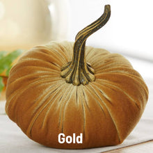 Load image into Gallery viewer, Velvet Pumpkins - Large
