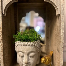 Load image into Gallery viewer, Cement Wall Mount Hanging Buddha Planter

