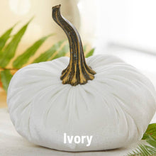 Load image into Gallery viewer, Velvet Pumpkins - Large

