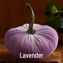 Load image into Gallery viewer, Velvet Pumpkins - Large
