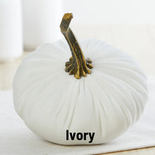 Load image into Gallery viewer, Velvet Pumpkins - Small
