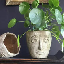 Load image into Gallery viewer, Picasso Cement Planter
