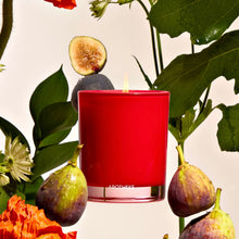Load image into Gallery viewer, Apotheke Fig &amp; Olive Leaf Petite Candle
