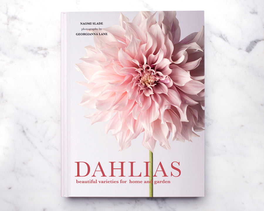 Dahlias: Beautiful Varieties for Home & Garden