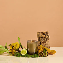 Load image into Gallery viewer, Apotheke Candles - White Vetiver
