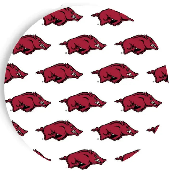 Arkansas Razorbacks Paper Plates - 7