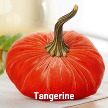 Load image into Gallery viewer, Velvet Pumpkins - Large
