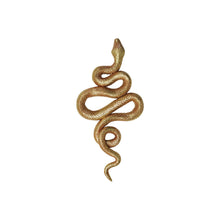 Load image into Gallery viewer, Resin Snake Wall Décor
