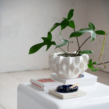 Load image into Gallery viewer, Stoneware Sculptural Planter
