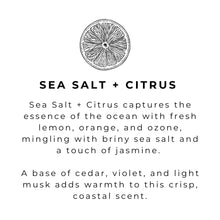 Load image into Gallery viewer, Liquid Hand Soap - Sea Salt + Citrus
