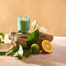 Load image into Gallery viewer, Apotheke Orange Blossom Neroli Petite Candle

