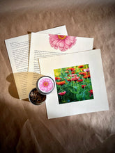 Load image into Gallery viewer, Flower Cutting Garden Box | Mixed Zinnia
