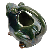 Load image into Gallery viewer, Stoneware Frog Watering Pitcher

