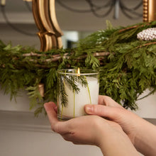 Load image into Gallery viewer, Thymes Frasier Fir Pine Needle Glass Candle
