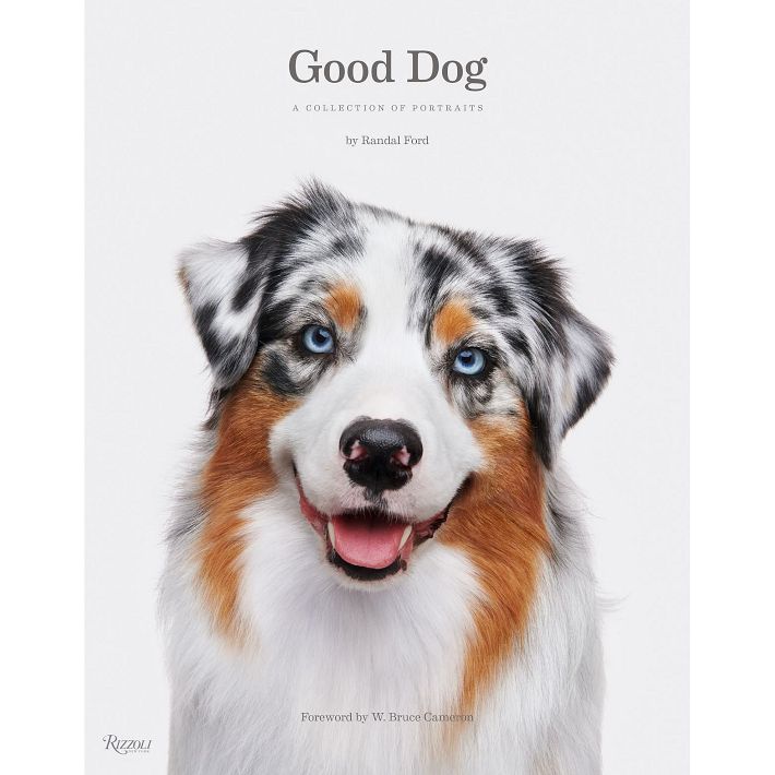 Good Dog: A Collection of Portraits