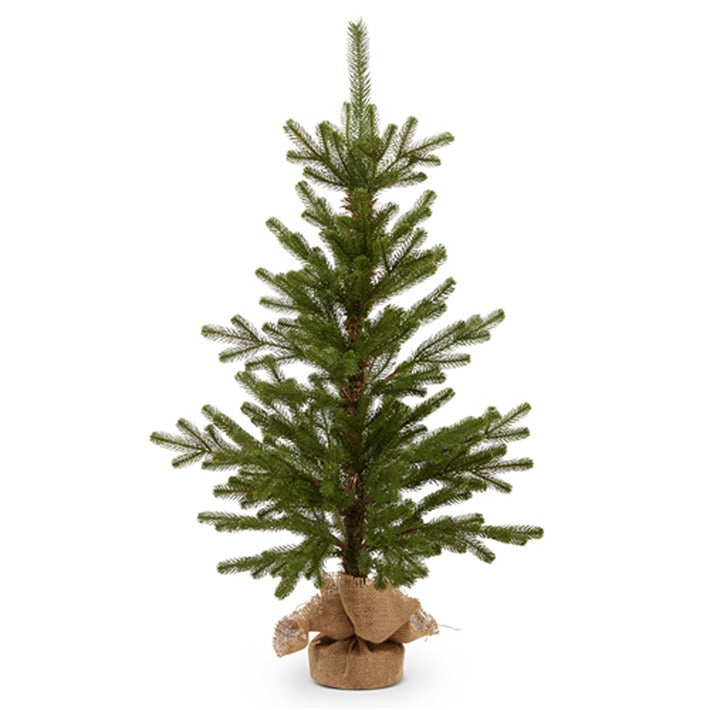 Noble Fir Tree in Burlap Bag