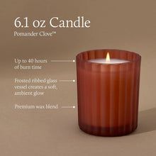Load image into Gallery viewer, Thymes Pomander Clove Poured Candle

