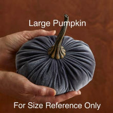 Load image into Gallery viewer, Velvet Pumpkins - Large
