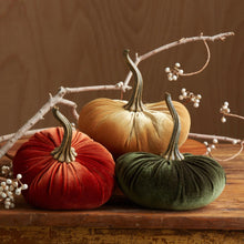 Load image into Gallery viewer, Velvet Pumpkins - Large

