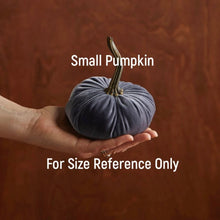 Load image into Gallery viewer, Velvet Pumpkins - Small

